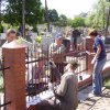 Budowa ogrodzenia cmentarza-2008r.